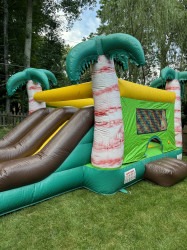 IMG 4874202 1721982754 Palm Tree Bounce House W/ Slide