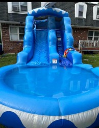 16 ft Dolphin Water Slide W/ Pool