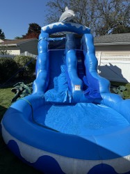 IMG 5867 1725219182 16 ft Dolphin Water Slide W/ Pool