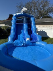 IMG 5872 1725219185 16 ft Dolphin Water Slide W/ Pool