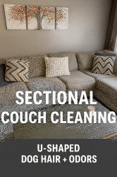 sectional couch cleaning dog. hair odors