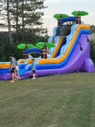 18ft   tropical purple water slide
