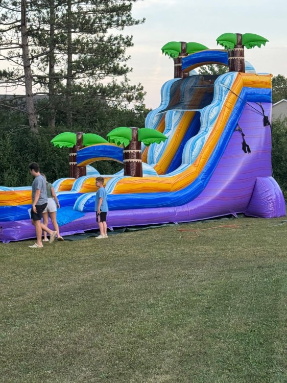 18ft   tropical purple water slide