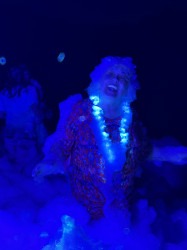 IMG 0710 1758415035 Glow Party Foam Parties