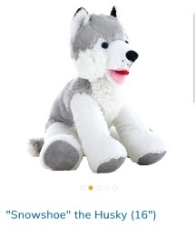 snowshoe the husky 16