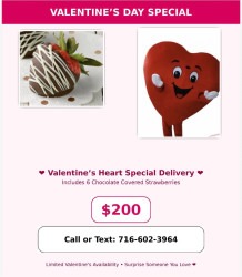 Valentine's Heart Special Delivery
