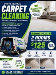 2 ROOMS  CARPET CLEANING