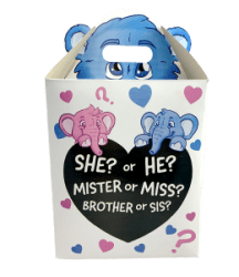 Gender Reveal Box (16)