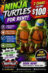 🐢 Ninja Turtle Character Chairs for Rent – 2 for $100! 🎉
