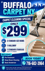 ✨ CARPET CLEANING SPECIAL — ONLY $299! ✨